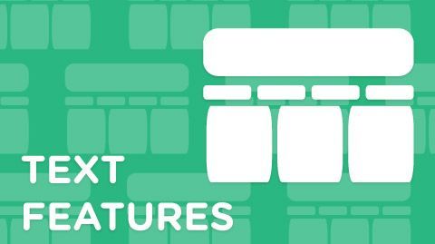 TEXT FEATURES